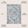 thumbnail image 3 of JONATHAN Y WASHABLE 5 x 8 Area Rug, Keesha Bold Distressed Medallion - Cream/Blue, WSH316B-5, 3 of 9