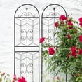 thumbnail image 3 of CQSXDA  4 Pack Black Metal Garden Trellis 71 Inches High Outdoor Support For Climbing Plants, 3 of 13