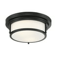 thumbnail image 5 of Trade Winds Lighting 2-Light Ceiling Light In Matte Black, 5 of 7