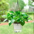thumbnail image 3 of 6.5inch 1 Pack Self Watering Hanging Planter, Indoor Outdoor Hanging Drainage Holes Planters Flower Pot Basket, Visible Water Level, Plant Hanger Home Garden Decor, 3 of 9