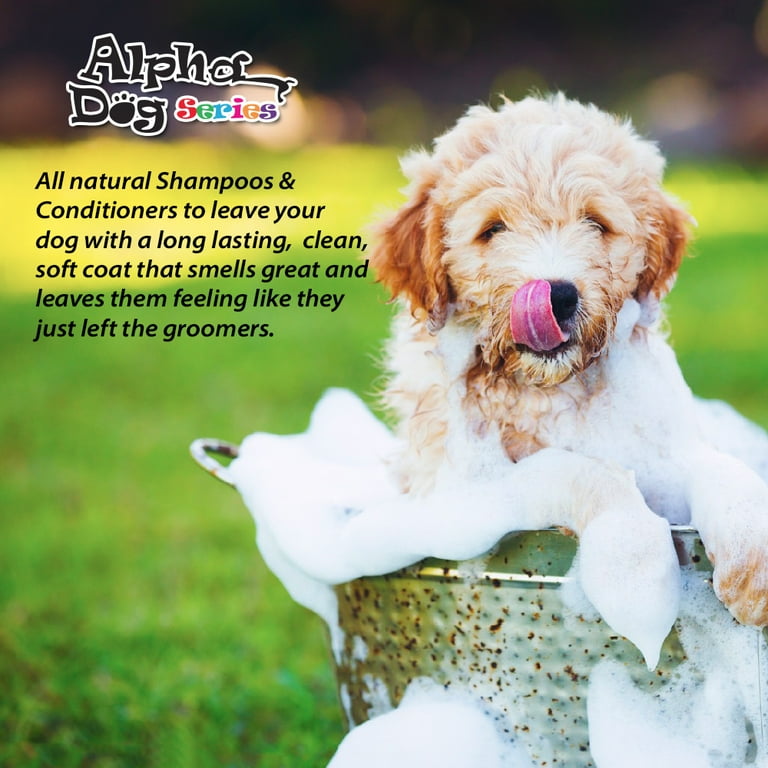 All natural dog flea and tick prevention 2025