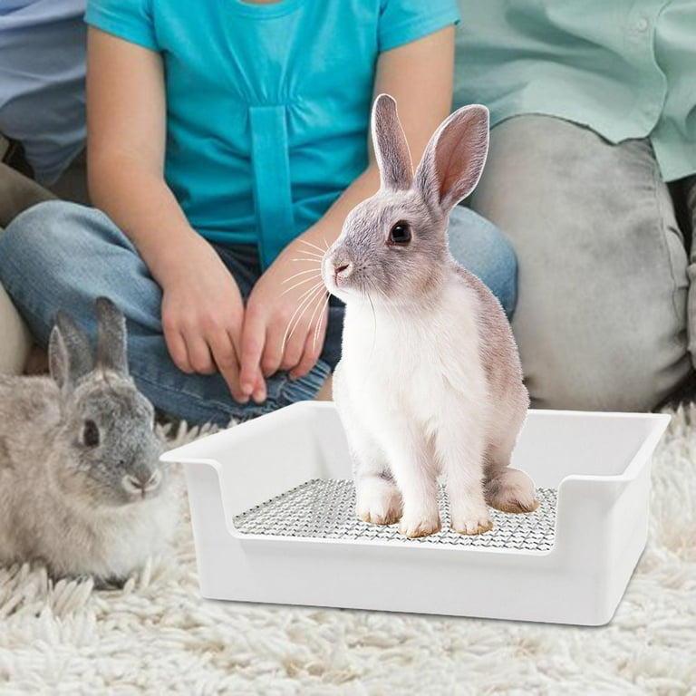 Small litter hotsell tray for rabbit