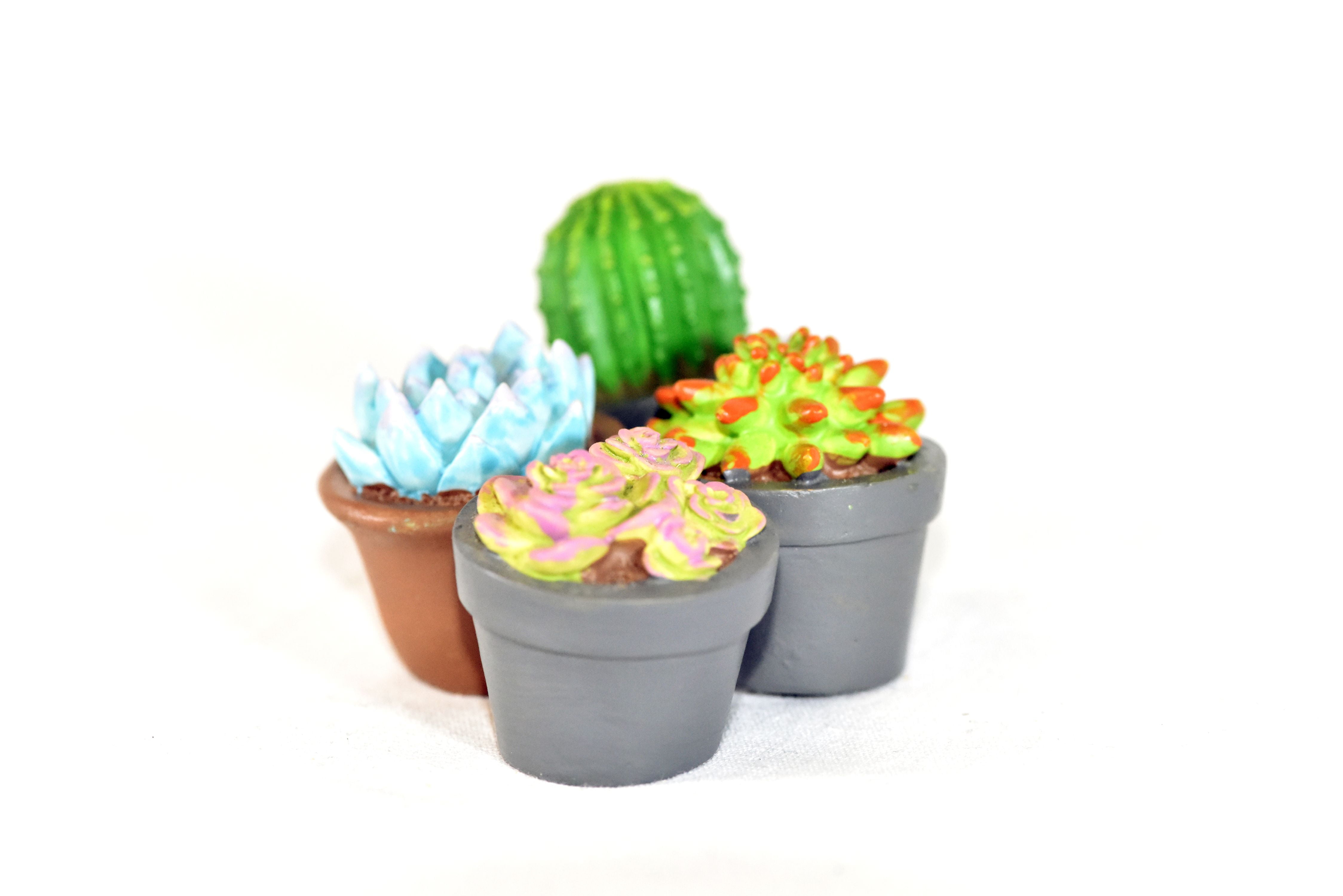 4-Pieces Mini Gardenn Fairy Garden Miniature Succulent Plants Set
