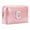 C, variant on Pink Holographic Letter Makeup Bag Personalized Initial Cosmetic Pouch Waterproof Travel Organizer (Size/Style as Pictured)