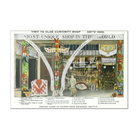 Online Shopping Wa Seattle, WA - Exterior View of Ye Olde Curio Shop, Whale Bones (12x8 Acrylic Wall Art Gallery Quality) ()