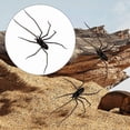 thumbnail image 5 of decorative Magnets, Realistic Spider Fridge Magnets Strong, Magnetic Stickers with Lifelike Spider Shapes, for Halloween decorations Outdoor, Home decor Kitchen and Kids Fridge, 5 of 5