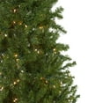 thumbnail image 3 of Northlight Pre-Lit Canadian Pine Artificial Pencil Christmas Tree - 6.5' - Clear Lights, 3 of 5