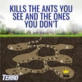 thumbnail image 2 of TERRO 2 Ounce Liquid Ant Killer, 2 of 7