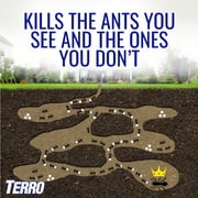 TERRO 2 Ounce Liquid Ant Killer