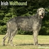 Irish Wolfhound Calendar 2018 - Dog Breed Calendar - Wall Calendar 2017-2018