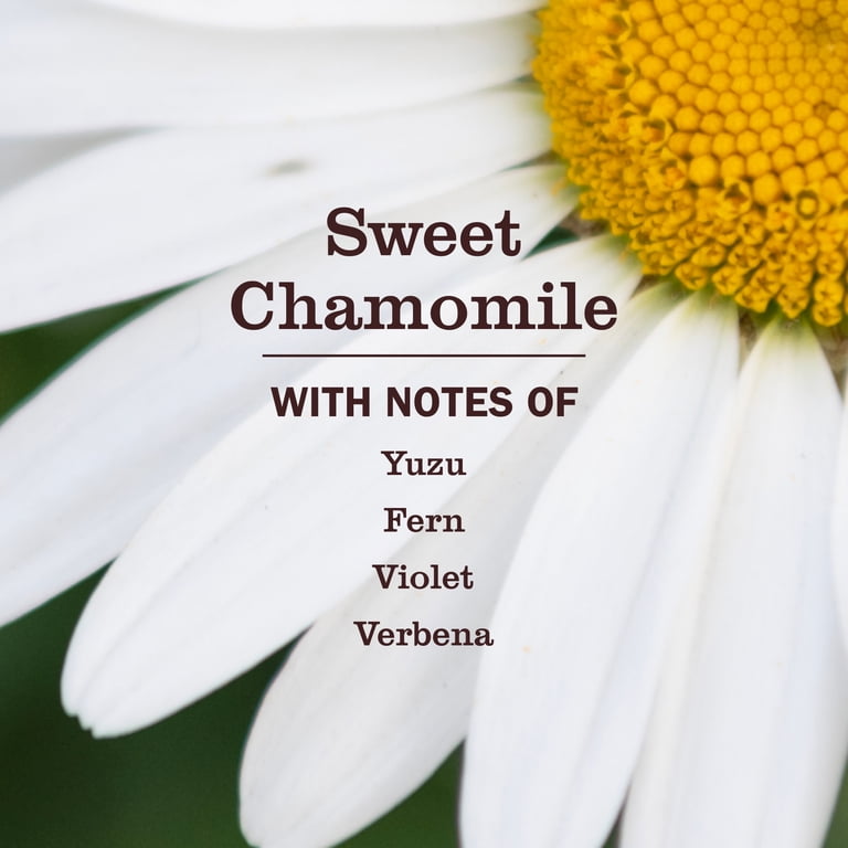 Mrs. Meyer's Clean Day 3-in-1 Dog Shampoo, Chamomile photo 2