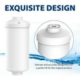 AQUACREST Replacement for Black Berkey/Waterdrop PF2 Fluoride/Arsenic