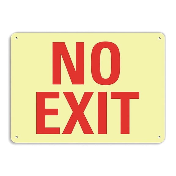 Lyle Exit Sign, Recycled Aluminum, 10" W, 7" H, No Exit, White LCU1-0007-GA_10x7