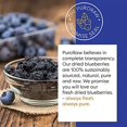 Dried Blueberries No Sugar Added, 2 lbs. Blue Berries Fruit, Dehydrated