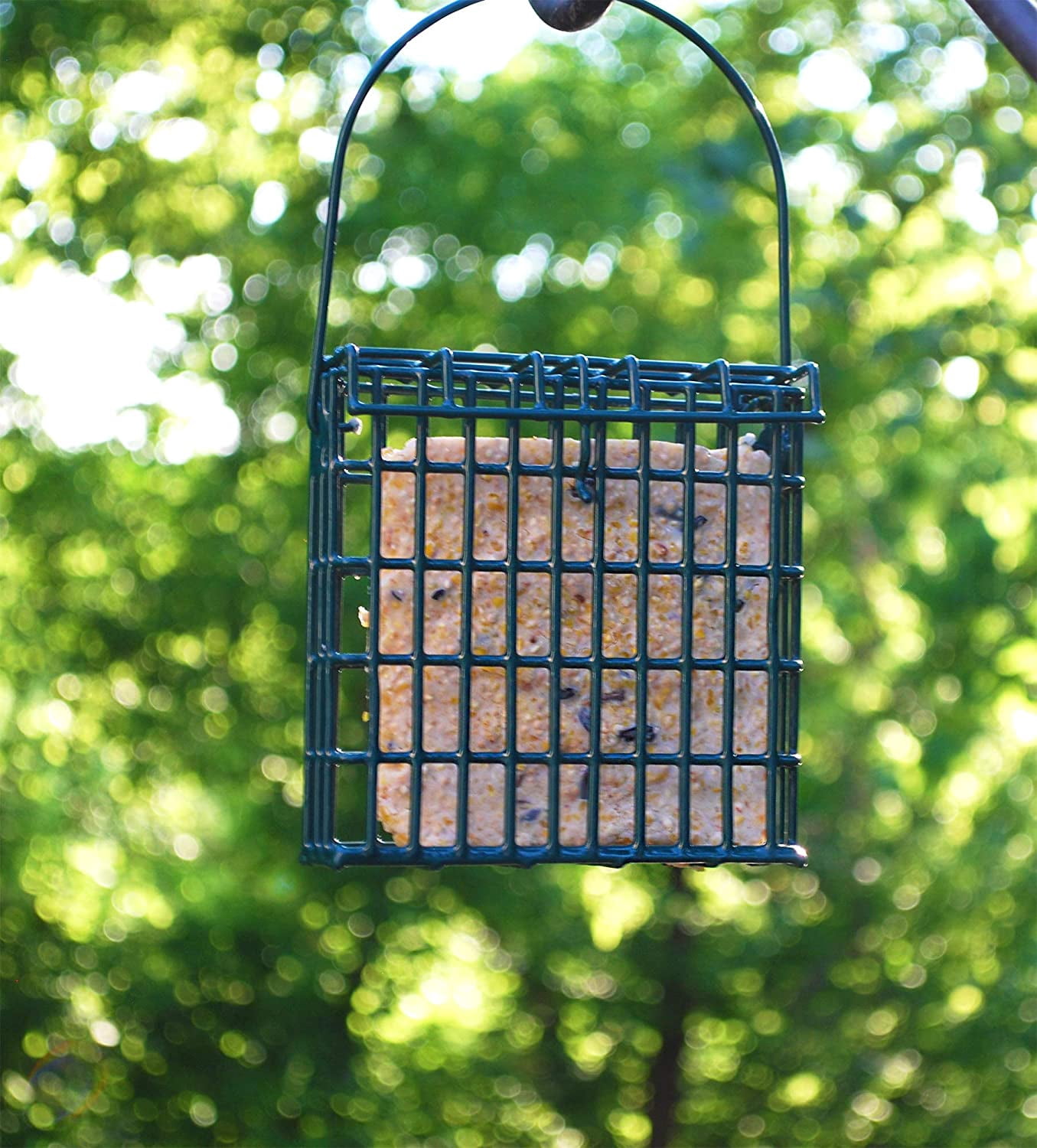 Wildlife 313887 11 oz No.13.8 Suet Plus JumboHigh Energy Mp1 Wild Bird Suet Cake, Pack of 20