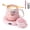 Pink DAY MUG with 4 Temp, variant on Inspirational Coffee Mug Warmer Set with Electric Milk Frother, 4-Temp Smart Beverage Heater Gift
