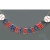 Baseball Concessions gender reveal pennant banner- Baseball Party supplies -Baseball themed party supplies