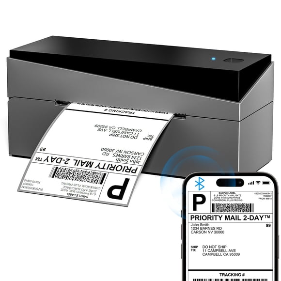 Impresora térmica de etiquetas Bluetooth Omezizy 249BT 10x15 cm