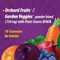 thumbnail image 3 of Nature's Way Alive! Prenatal Premium Gummy Multivitamin with DHA, 75 Count, 3 of 9