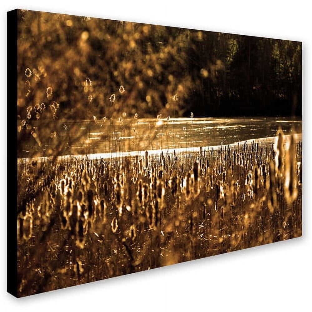 Trademark Fine Art "Boston 6" Canvas Art by CATeyes