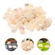 thumbnail image 1 of BESTYASH Decorativas Multicolor Para Acuarios Con Natural Para Peceras Y Jardinería, 1 of 8