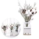 thumbnail image 3 of 1 juego de flores secas, jarrón de cristal decorativo para jardín de primavera transparente Flor de cinta blanca, 3 of 8