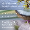 thumbnail image 3 of Weleda Gentle Cleansing Face Foam 5 oz, 3 of 7