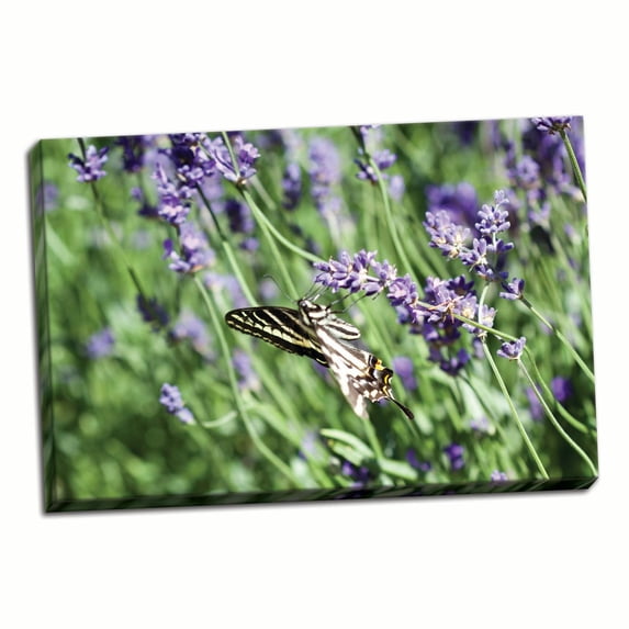 Gango Home Decor Lavender & Butterfly I by Dana Styber (Ready to Hang); One 36x24in Hand-Stretched Canvas