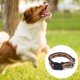 thumbnail image 3 of 1. Su perro merece el mejor collar cómodo para perros pequeños, medianos, grandes y grandes, hecho de nailon duradero, cosido con hilo resistente y fabricado con herrajes extremadamente confiables y, 3 of 5