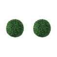 thumbnail image 1 of Transemion Balle en Plastique Simulée Apparence Réaliste Polyvalente Verte Intérieure Verte 30cm 2ensemble, 1 of 6