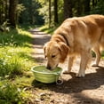 thumbnail image 6 of FEOLGEHLY Slow Feed Travel Dog Bowl Pet Bowl, Non Skid Collapsible Silicone Slow Feeding Food Water Bowl for Small Dogs and Cat Bowls for Indoor Cats Outdoor Portable Pet Dining Supplies, 6 of 6