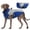 B, variant on Dog Winter Coat Built in Harness Windproof Reflective for All Sizes