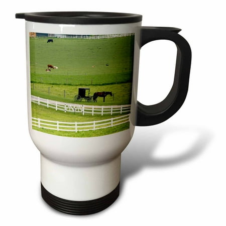 3dRose Amish farm with horse buggy near Berlin, Ohio - US36 DFR0008 - David R. Frazier, Travel Mug, 14oz, Stainless Steel