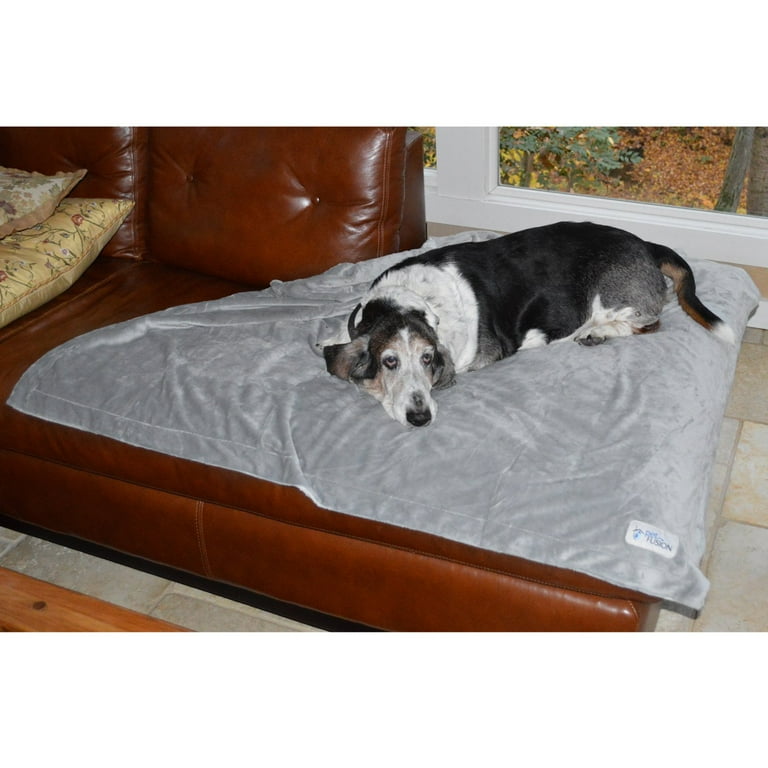 Petfusion top dog blanket