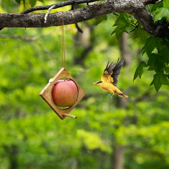 Fruit Bird Feeder, Finch Feeders for Outside, Oriole Bluebird Wild Bird Fruit Holder Feeder, Outdoor Garden Wooden Hanging Hummingbird Feeder