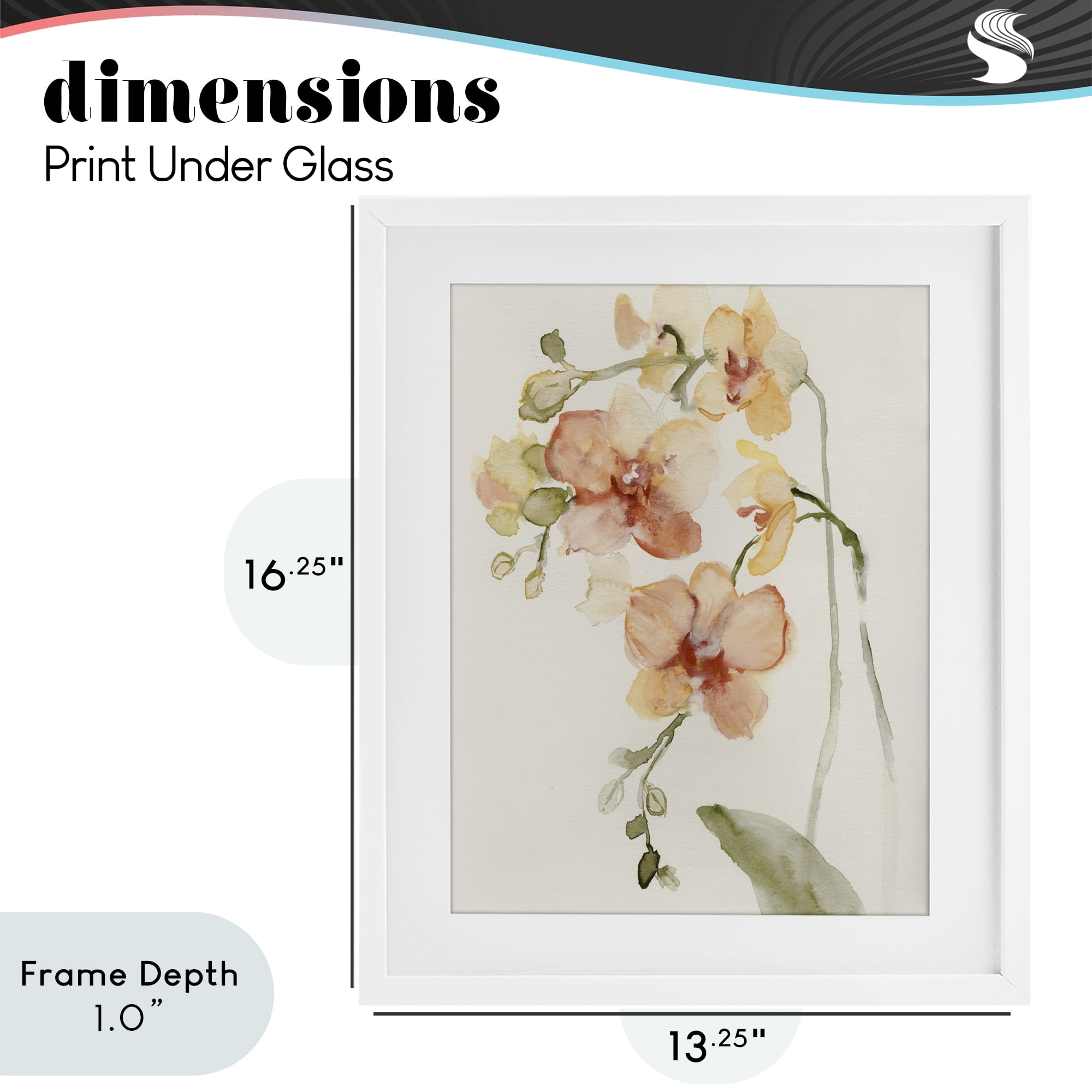 Stupell Industries Peach Orchid in Bloom White Framed Print Under Glass, design by Victoria Barnes