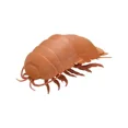 thumbnail image 3 of Juguetes originales de Bandai Gashapon, insectos gigantes, gusanos de la píldora, cochinillas, mariquitas, isópodos gigantes, articulaciones móviles, modelos de simulación, adornos y dijes, 3 of 5