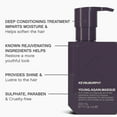 thumbnail image 4 of KEVIN.MURPHY YOUNG.AGAIN.MASQUE - Hair Masque for Damaged Hair - For Dry, Damaged, Brittle Hair - Deep Conditioning Masque - With Immortelle & Baobab Seed Oil - 200 mL / 6.7 fl oz, 4 of 7