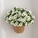 thumbnail image 1 of Flores artificiales de otoño, crisantemos de seda, arreglos florales de plantas falsas para decoración del hogar, interiores y exteriores, macetas para porches, decoraciones para jardineras,, 1 of 8