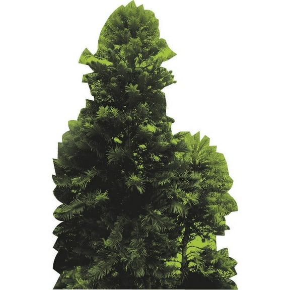SP13149 Wollemi Pine Living Fossil Tree Rare Endangered Cardboard Cutout Standee Standup