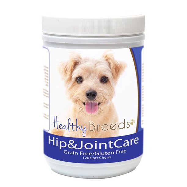 Healthy Breeds 840235183020 Norfolk Terrier Hanche & Soins Articulaires&44; 120 Comte