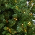 thumbnail image 6 of Nearly Natural 8ft. Grand Teton Spruce Flat Back Artificial Christmas Tree with 280 Warm White LED Lights and 1208 Bendable Branches, 6 of 11