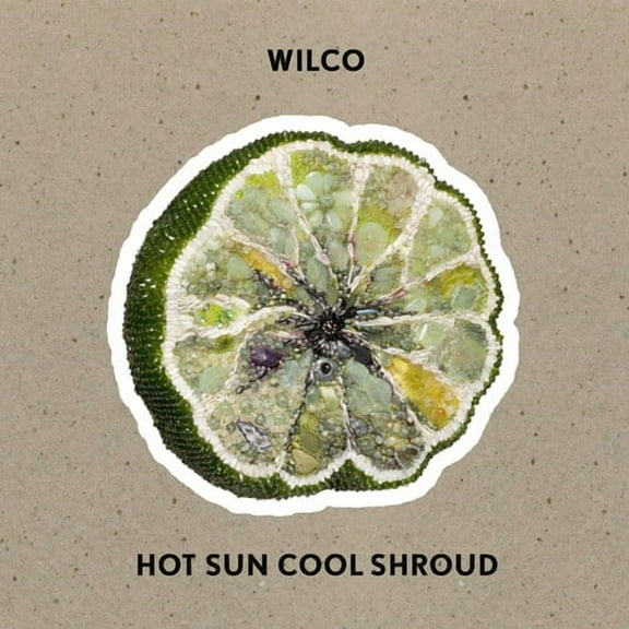 Wilco - Hot Sun Cool Shroud - Music & Performance - CD