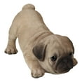 thumbnail image 5 of Realistic Lifelike Adorable Fawn Pug Puppy Dog Crouching Playfully Figurine, 5 of 9