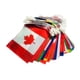 thumbnail image 3 of Conjunto de banderas Colamx Cadena Mundo banderines Color Brillante 14cmx21cmX15M, 3 of 8