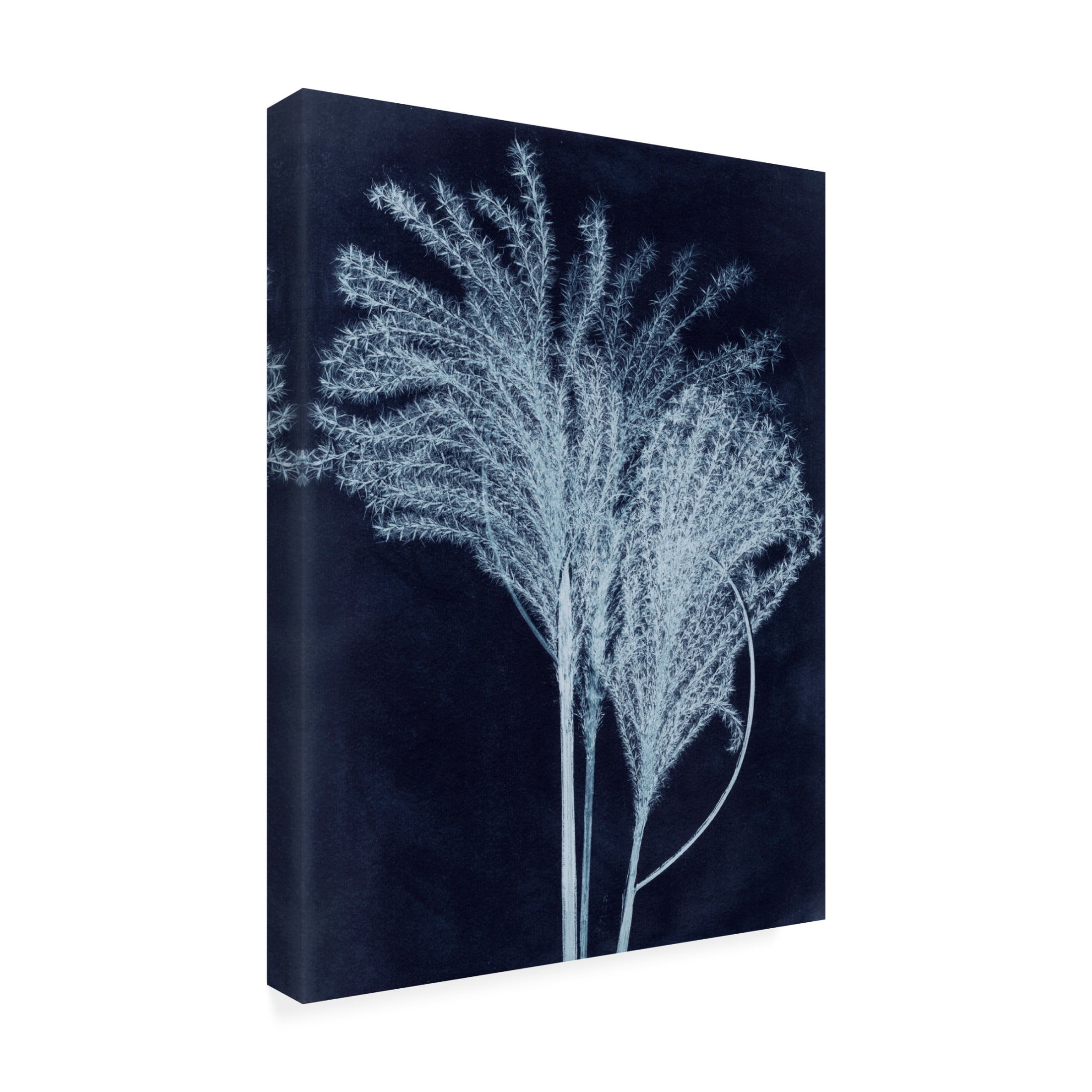 Canvas Wall Art - Pernille Folcarelli 'Silvergrass Midnight Blue' Wall Art for Living Room, Bedroom, or Office Décor by Trademark Fine Art - 24 x 32 Inches
