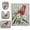 Beautiful Red Bird, variant on 4-Piece Bathroom Set with Waterproof Shower Curtain with Non-Slip Bath Mat, U-Shaped Mat & Toilet Lid Cover Marine Organismsd