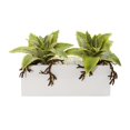 thumbnail image 1 of Nearly Natural 8513 Succulent Artificial Plant in White Ceramic Vase, 1 of 1