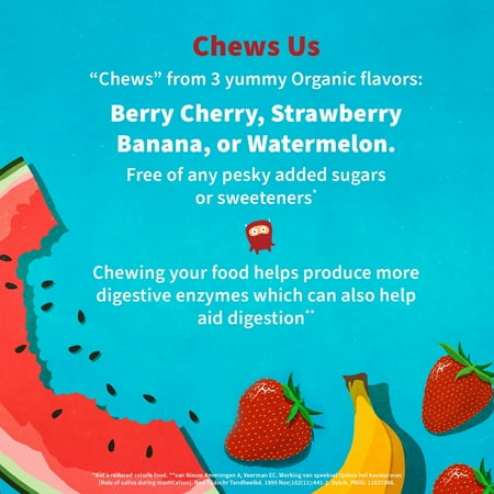 Garden of Life Dr. Formulated Probiotics for Kids, Organic Kids+ - Berry Cherry, 5 Billion CFU Chewable Probiotic Plus Vitamin C and D, Dairy Free Immune Digestive Health Supplement, 30 Chewables