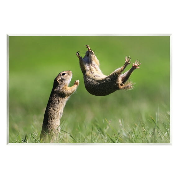 Stupell Industries Prairie Dogs Photography Animals & Insects Photography Unframed Art Print Wall Art, 15 x 10